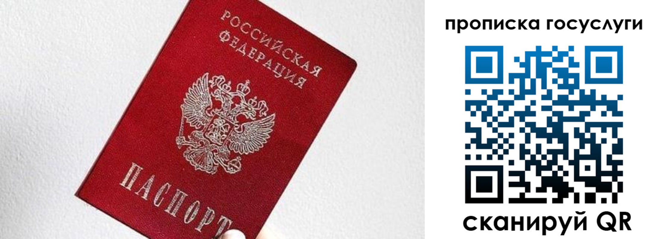 прописка законно в Рыбинске